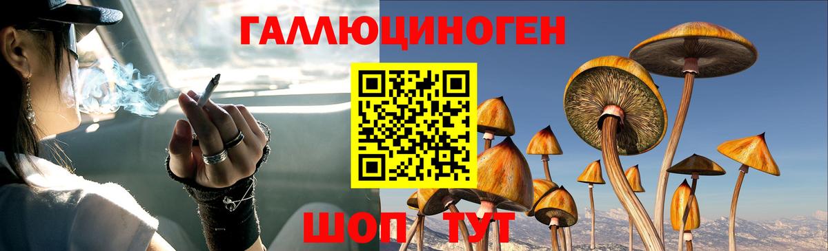 Псилоцибиновые грибы Cubensis  Галлюциногенные грибы MAGIC MUSHROOMS  Мыски  Вход с VPN 